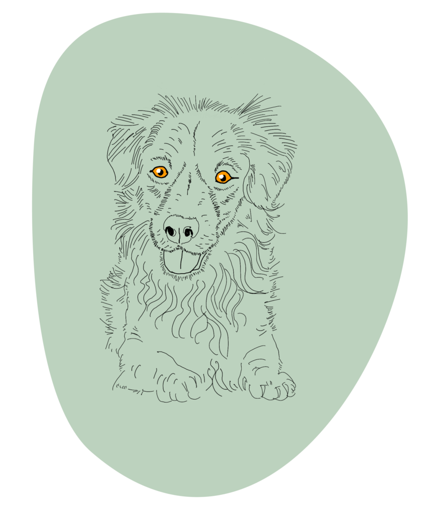 Illustration eines Hundes