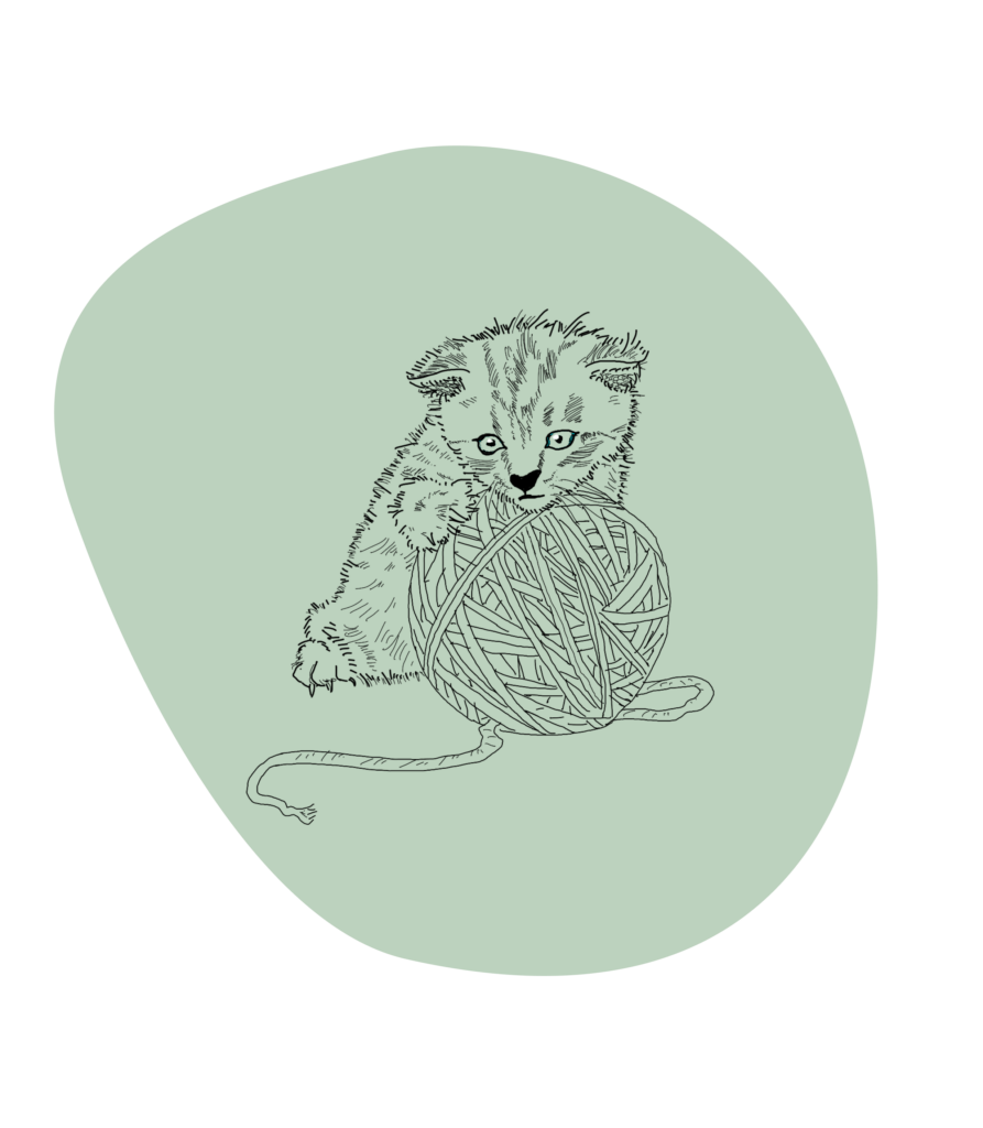 Illustration eines Katzenbabys mit Wolle